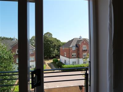Picture 11